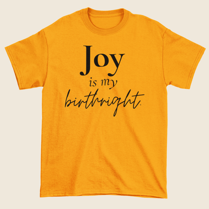 Joy Is My Birthright Statement Tee