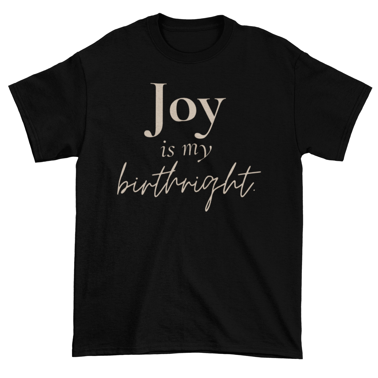 Joy Is My Birthright Statement Tee