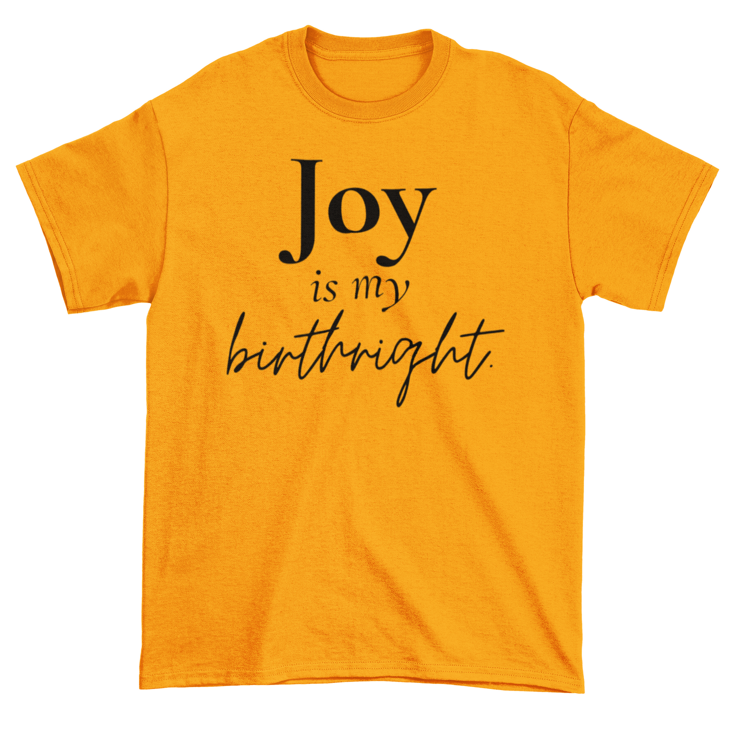 Joy Is My Birthright Statement Tee